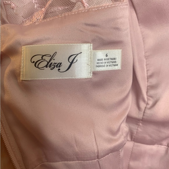 NWT Eliza J Blush Pink 3D Embroidered Applique Flowers Dress Size 6 - Picture 9 of 11